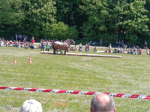 IMG_20260523_123740